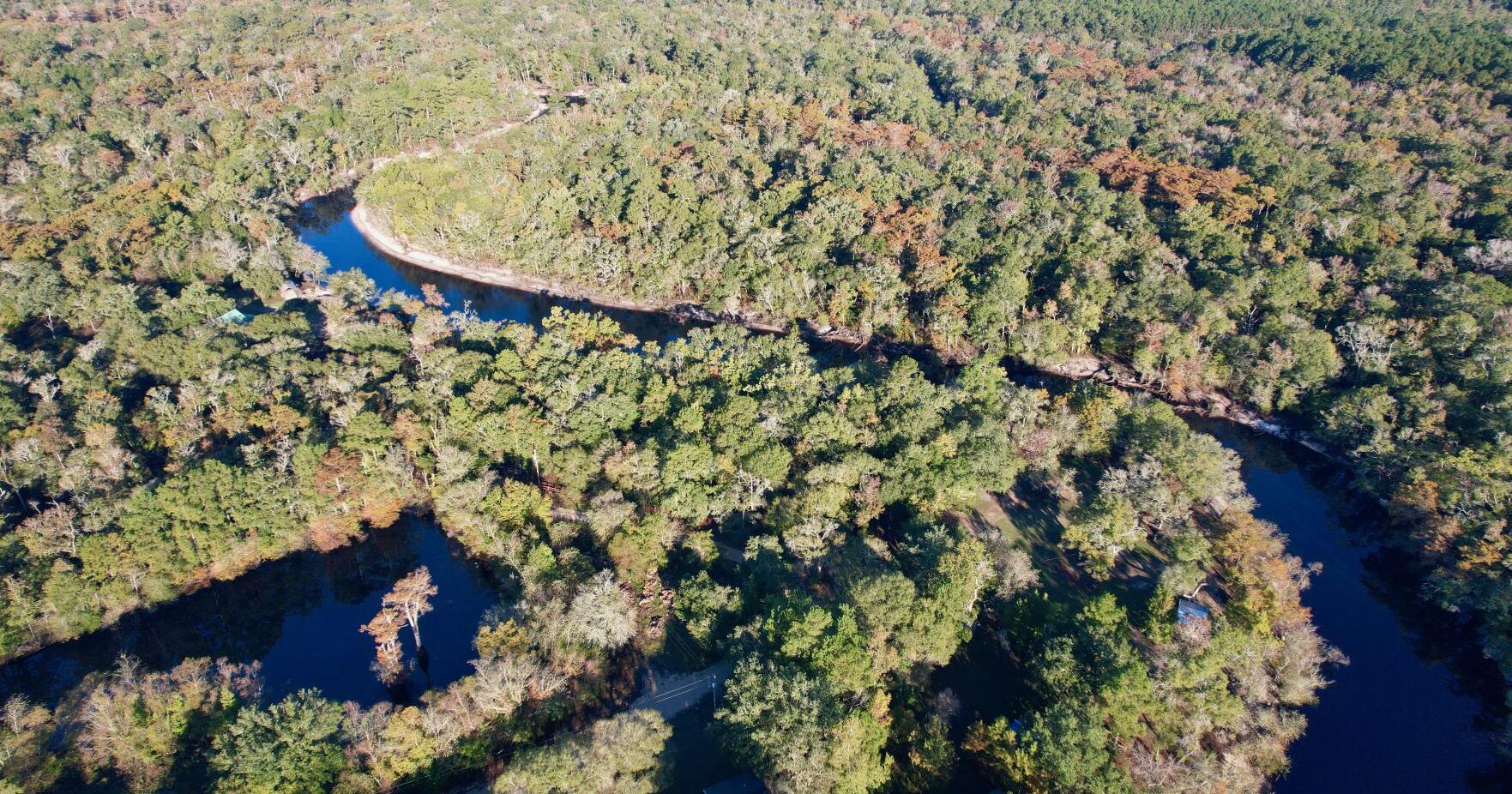 It happened in Horry: Why black rivers aren't that black | Opinion - Vimarsana News