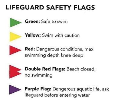 Know the meaning flags before a dip in ocean | myhorrynews.com