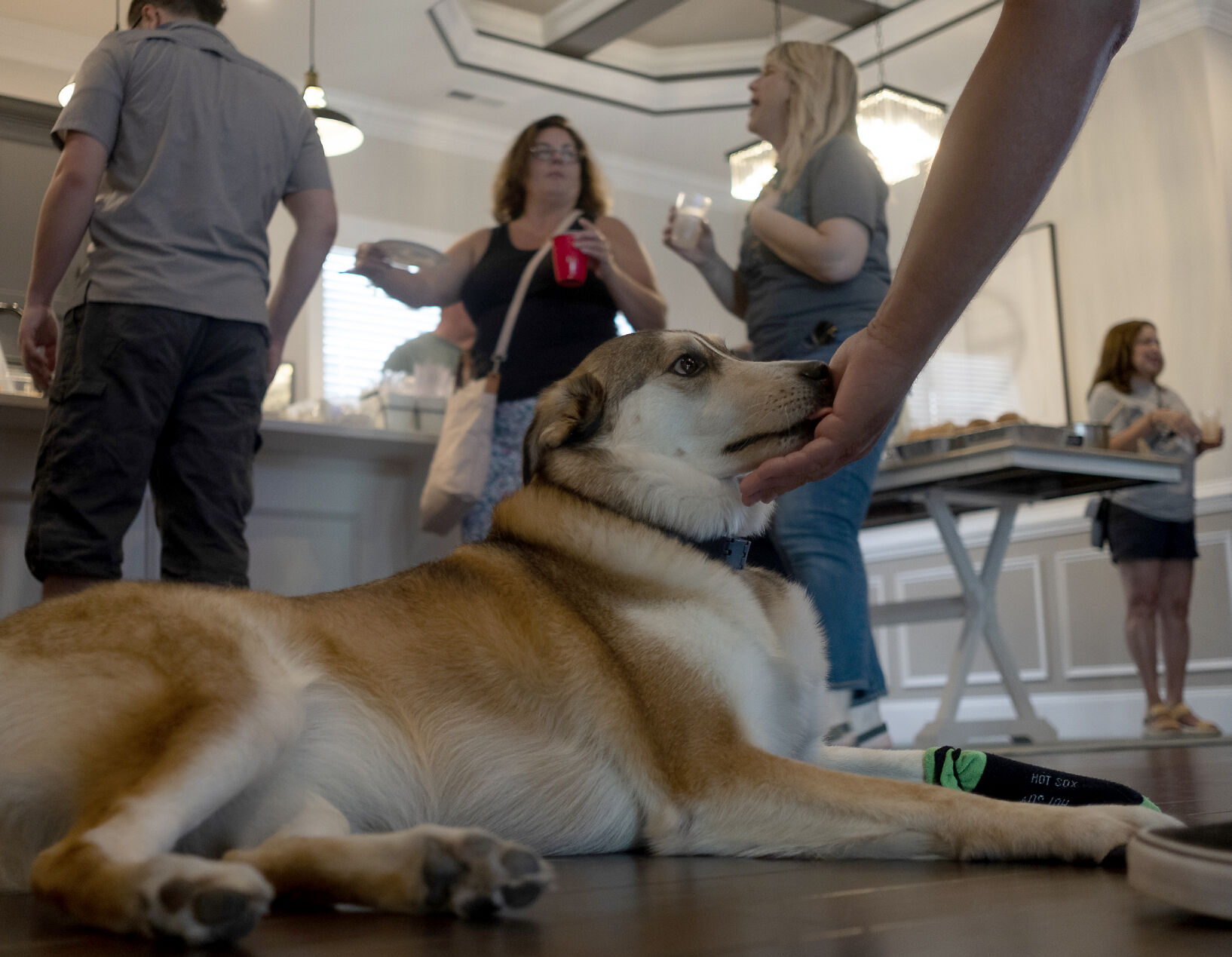 Carolina Forest Dinner Club picture