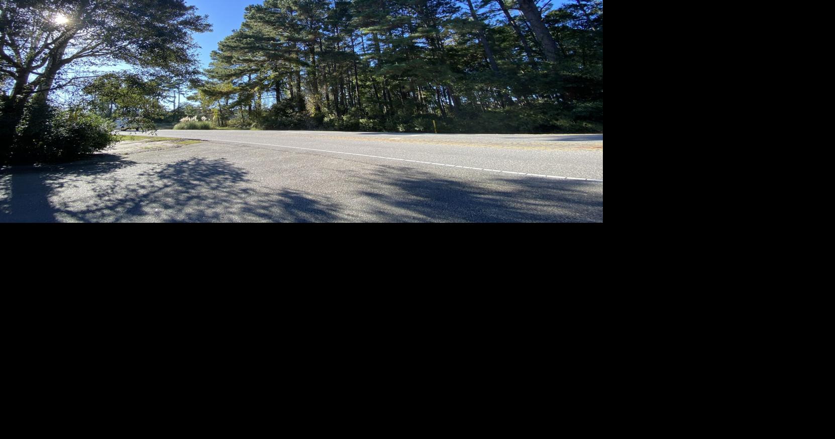 Conway council delays vote to amend tree protection ordinance after ...