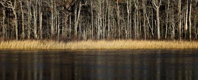 0203 hasty point_JM13.JPG