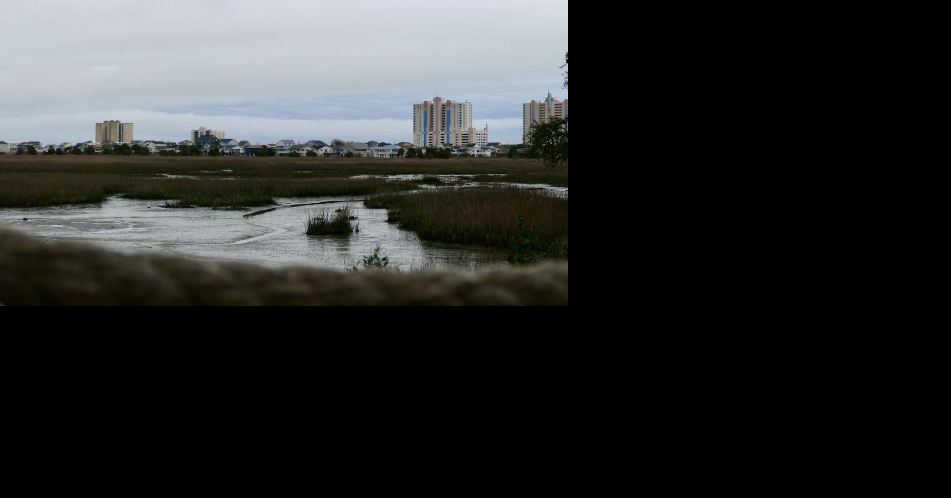North Myrtle Beach passes revised noise ordinance on first reading ...