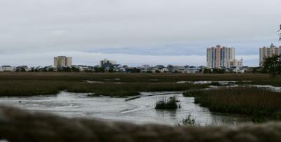 Cherry Grove marsh