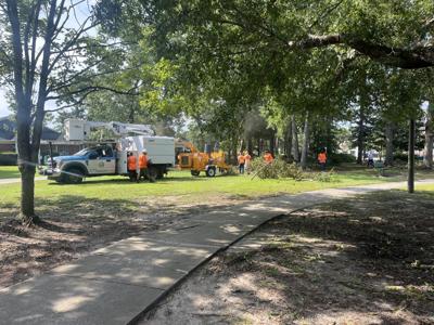 Park Clean Up