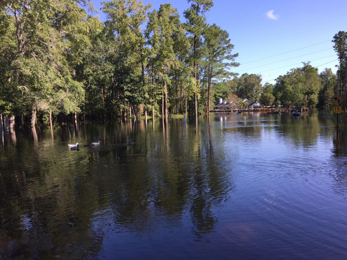 Conway Area Neighborhoods Off Sc 90 See Flooding Local News Myhorrynews Com