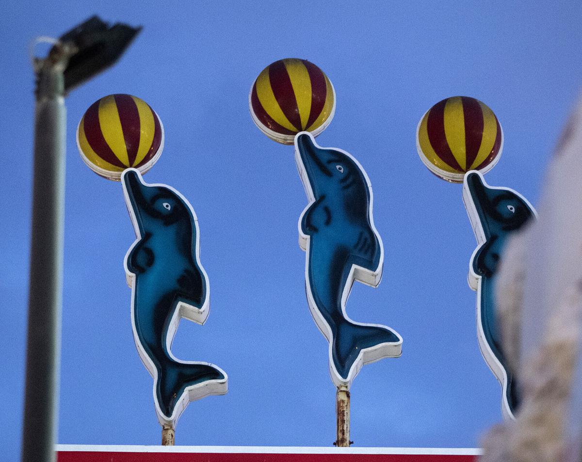 0622 Gay Dolphin_JM29.JPG