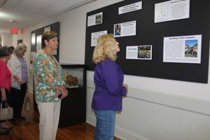 Horry County Museum Hosts Exhibit for Conway Iris Garden Club’s 75th Anniversary