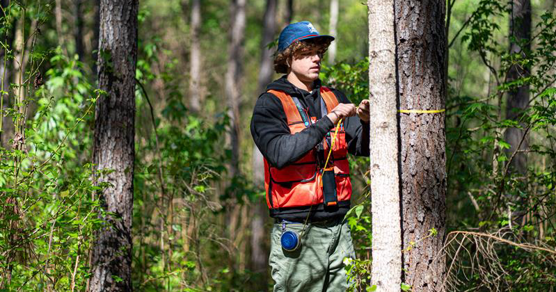 HGTC, Francis Marion University partner in forestry program | News ...