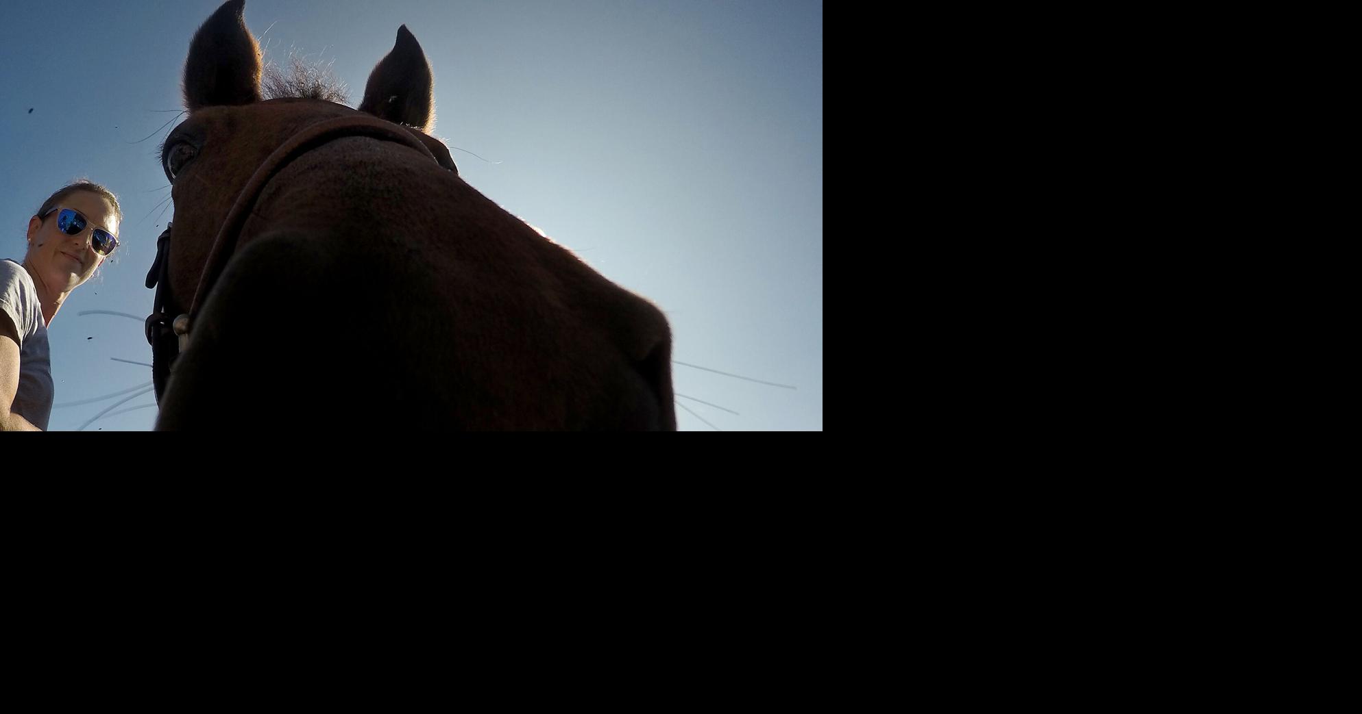 Therapeutic riding center open house near Loris SC News