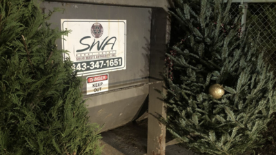 Grinding of Christmas trees