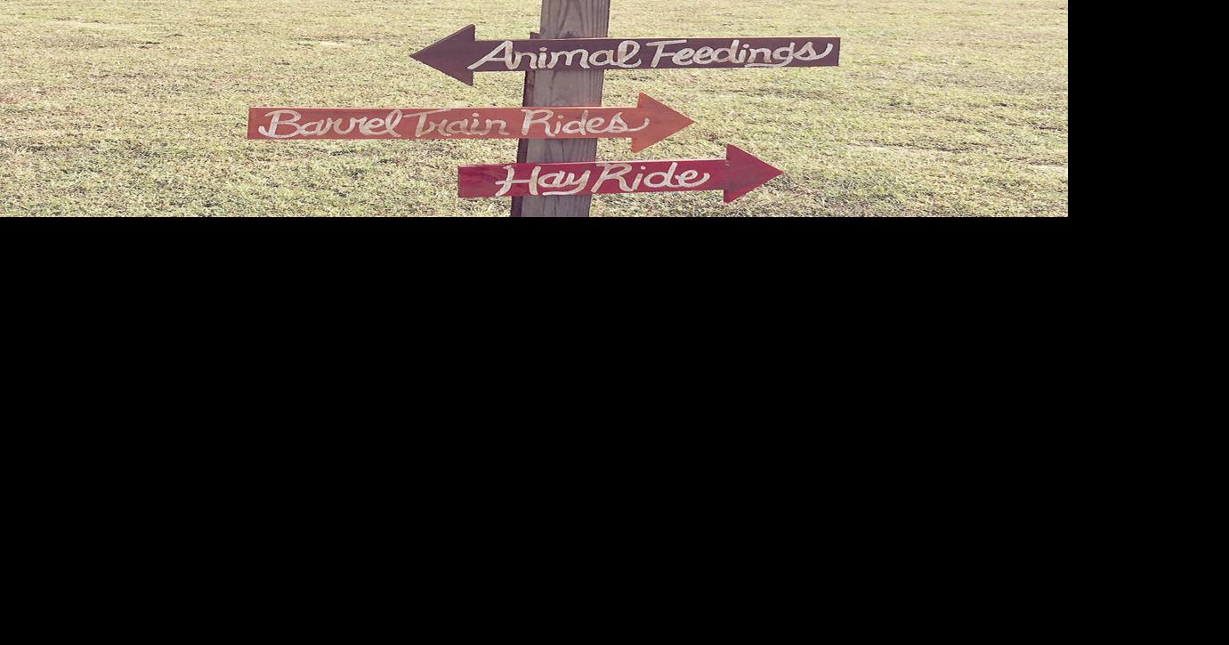 Southern Palmetto Farms in Aynor holds grand opening this Saturday