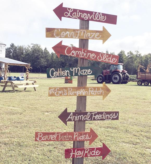 Southern Palmetto Farms in Aynor holds grand opening this Saturday
