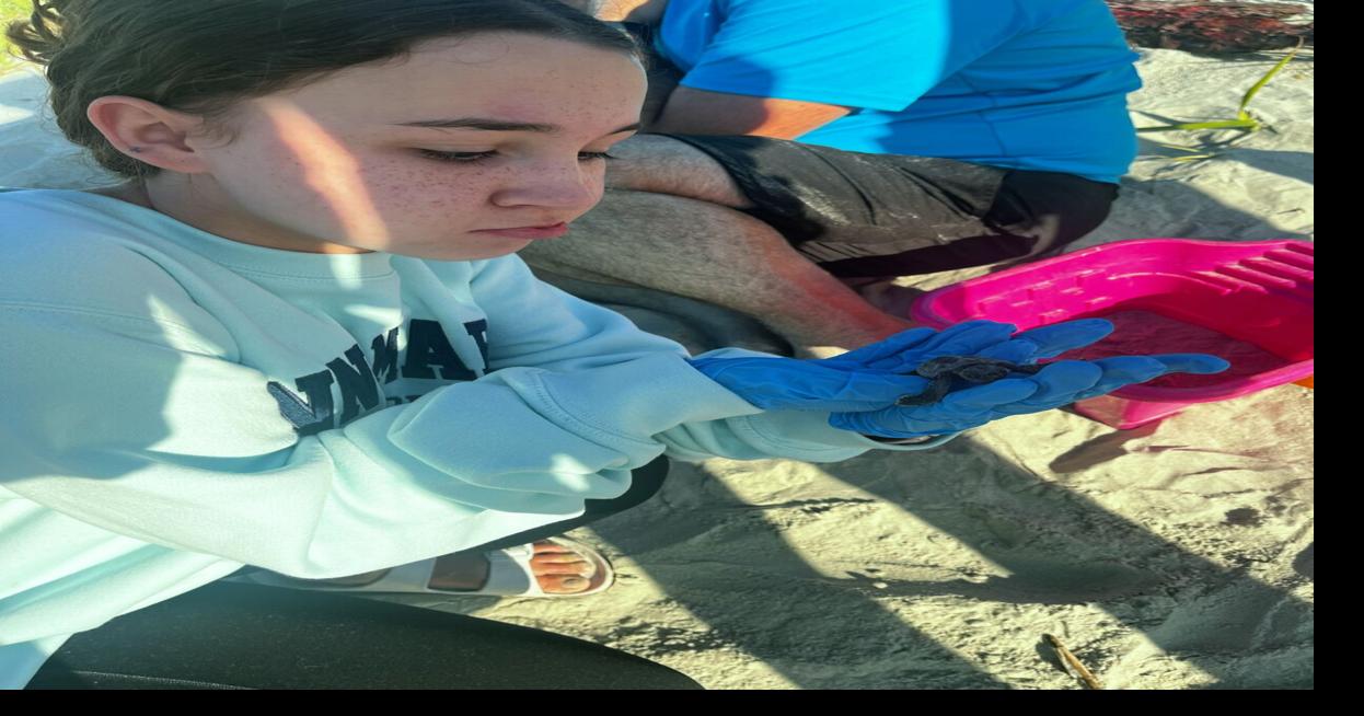 How these CCU grads are working to bring a sea turtle rescue center to Conway