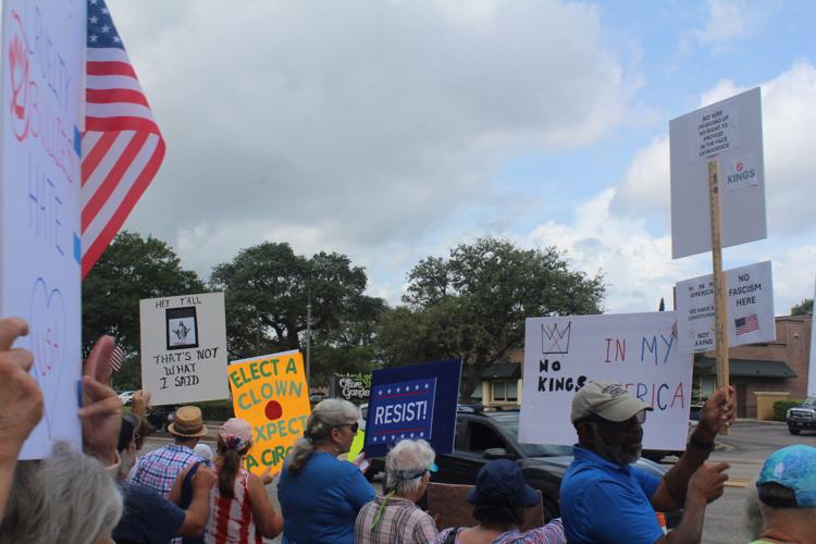 No Kings Protest Signs