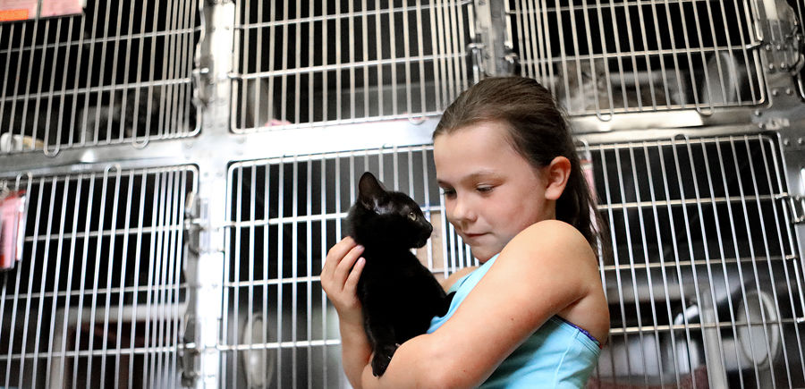 grand strand animal rescue