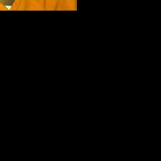UPDATE: Horry County police arrest one in connection with home ...