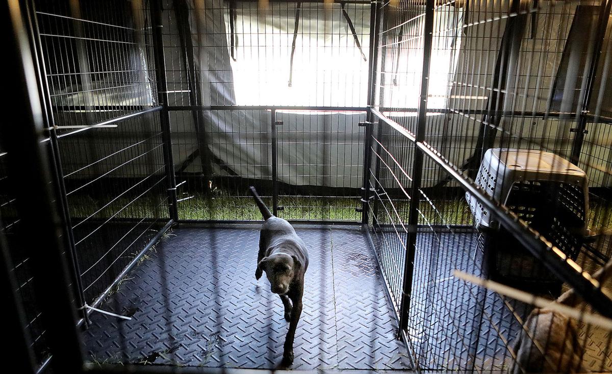 The Horry County Animal Care Center has been operating as a ‘nokill