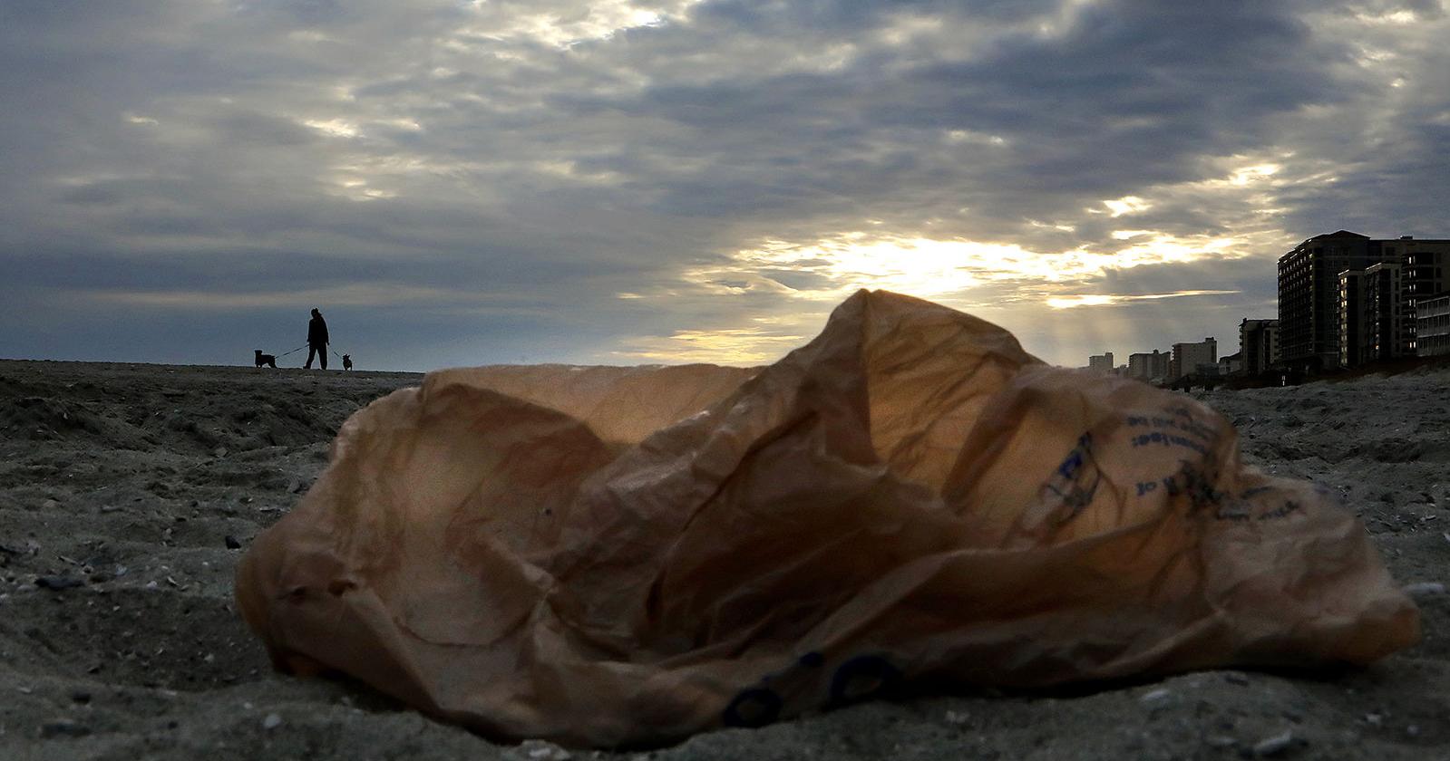North Myrtle Beach SC forms plastic bag research committee | News - Vimarsana News