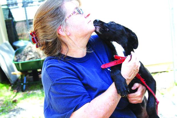 Myrtle Beach Humane Society Jobs Myrtle Beach Humane Society Jobs