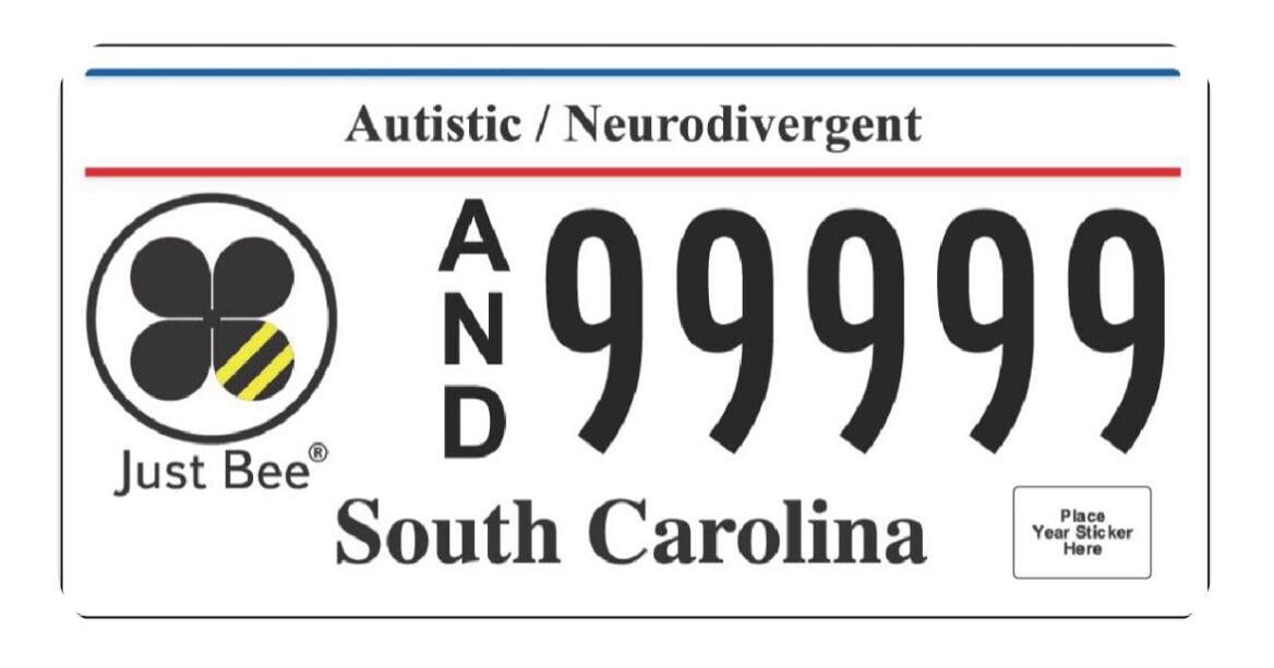 Learn about South Carolina autism license plate Rio's Law | News ...