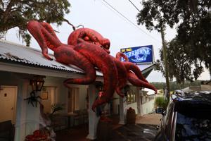 Little River Embraces Halloween Spirit with WaterFright Nights Event