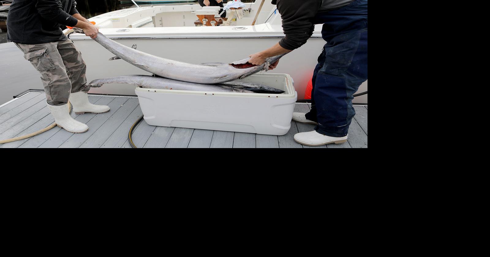 The not-so-secret 'local secret' of the fisherman chef | North Myrtle ...