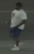 NMB reported sexual assault suspect