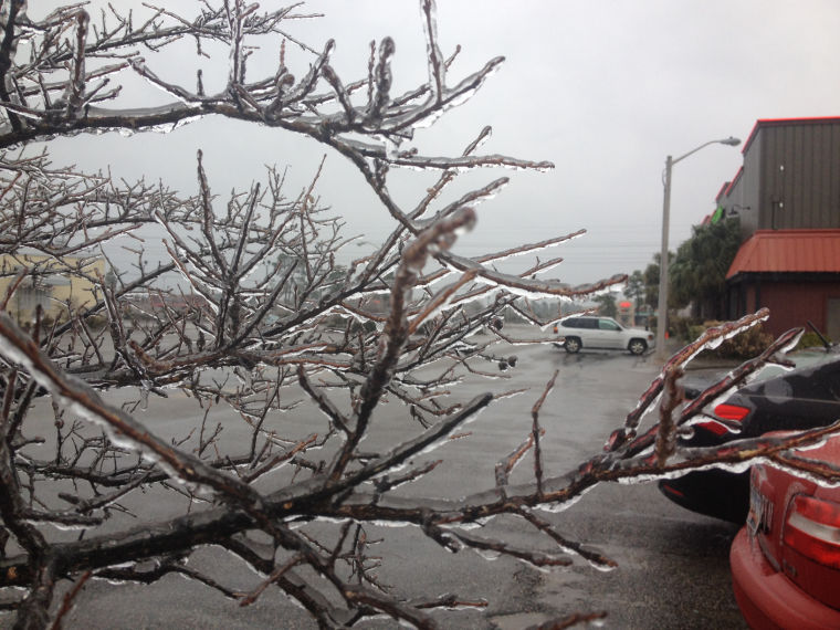 Horry County ice storm, February 11-13, 2014 | Gallery