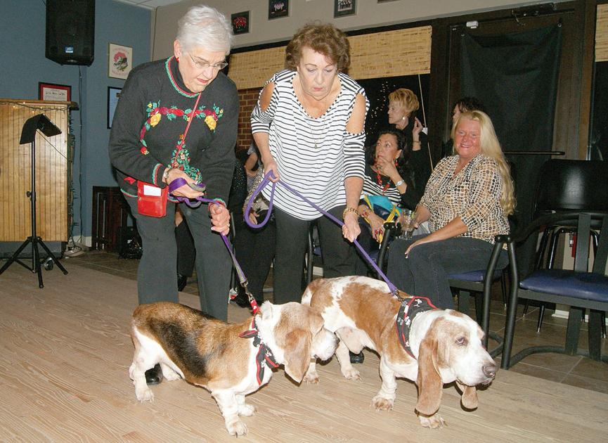 Fashion show benefits North Myrtle Beach animal shelter ...