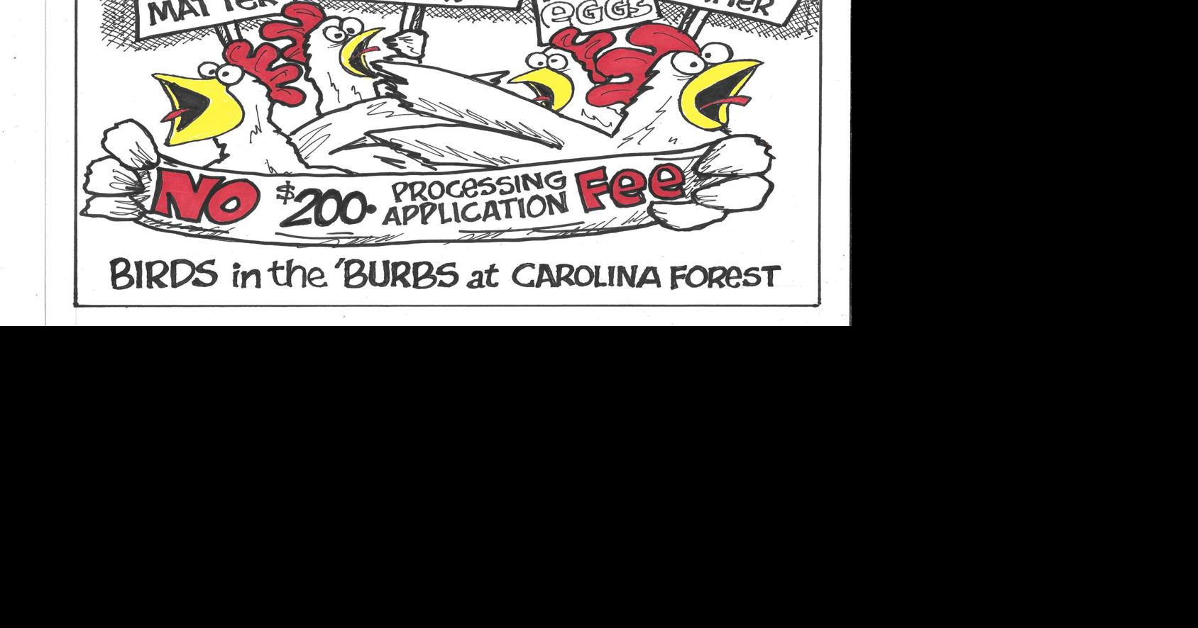 Chickens should not be allowed in residential areas at all