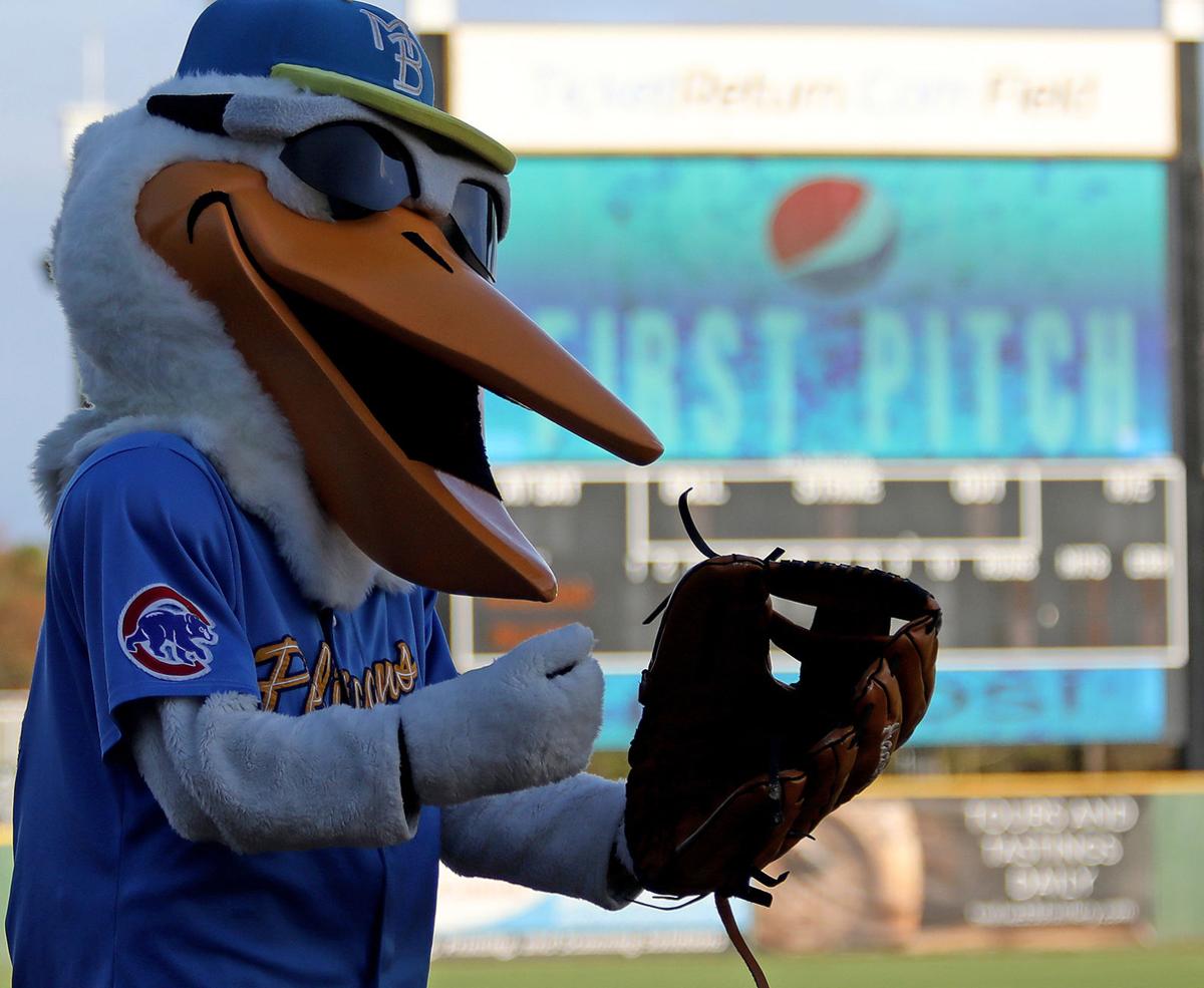 Myrtle Beach Pelicans beat Charleston RiverDogs before Thursday home