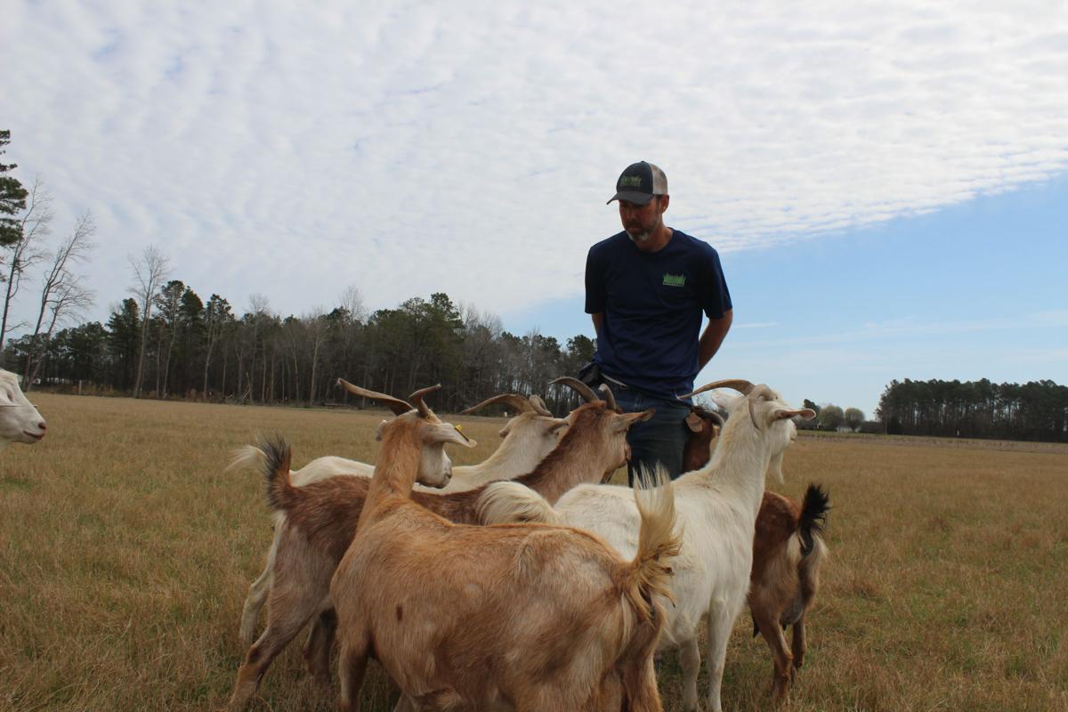 Life at Southern Palmetto Farms News