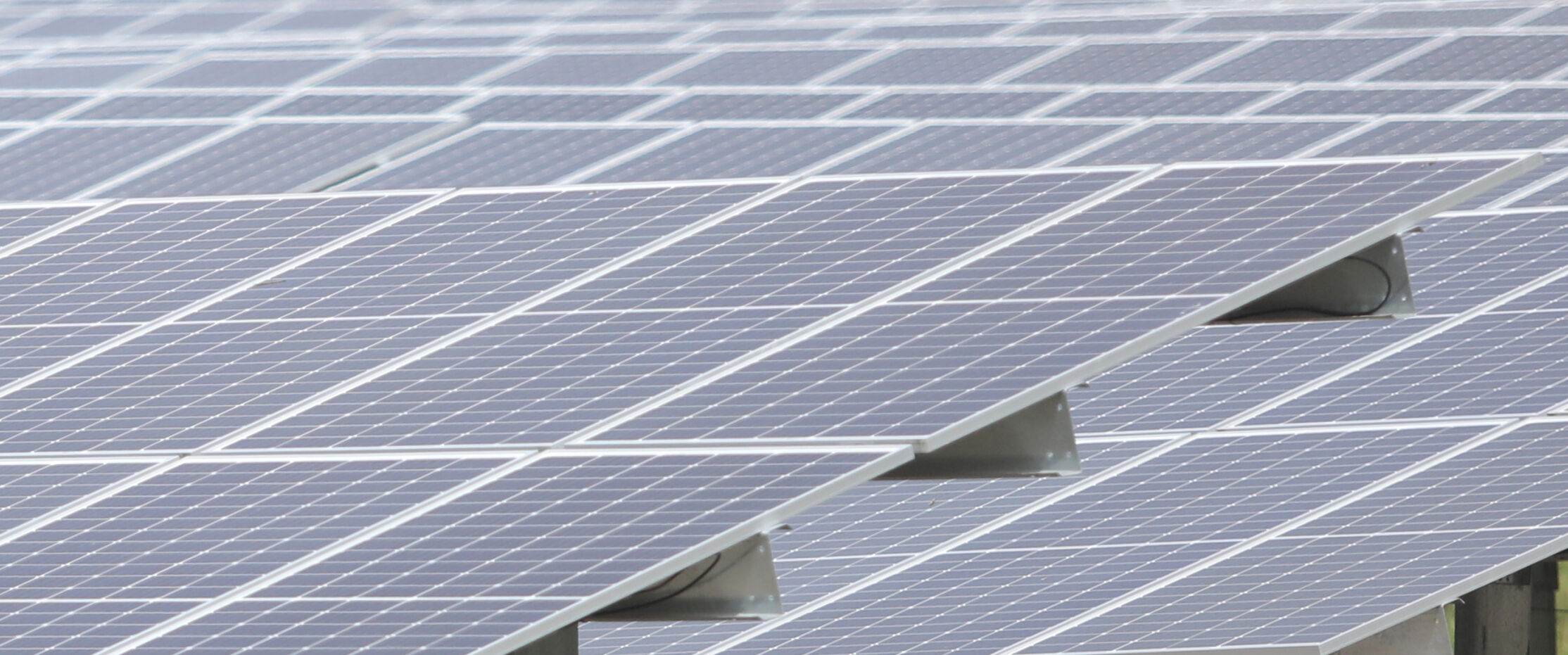 828 solar farm_JM04.JPG