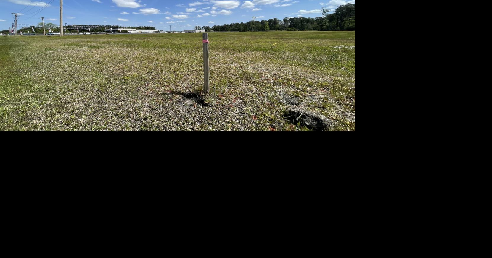 Developer submits plans to build Tractor Supply in Loris News