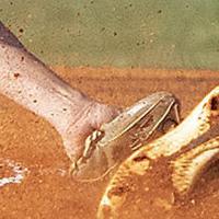 Loris Baseball Loris baseball tops Lake City on the road | High School Sports ...