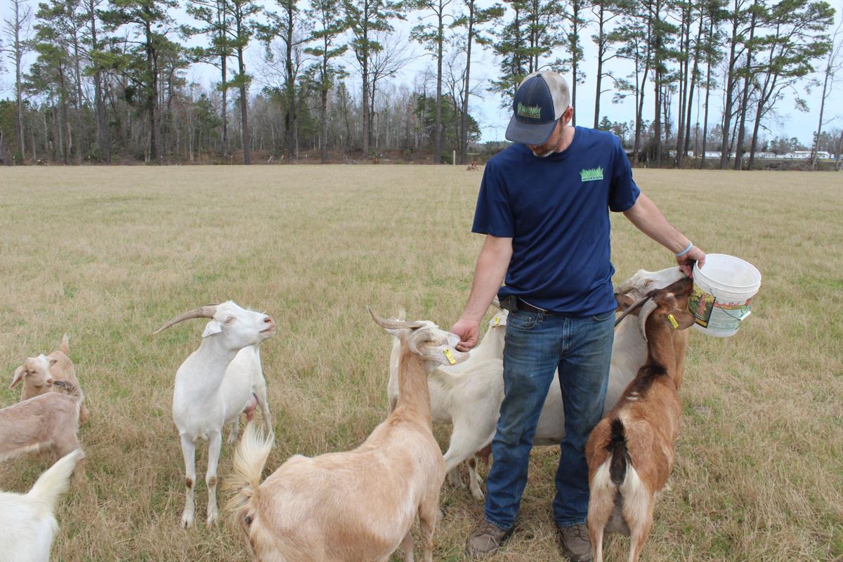 Life at Southern Palmetto Farms News