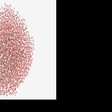 Cleveland Clinic, RIKEN, and IBM Model a 12,635-Atom Protein - the Largest Known to Be Simulated with Quantum Computers