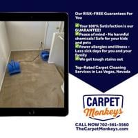 Expert Upholstery Cleaning Service Tackles Las Vegas, NV Desert Dust