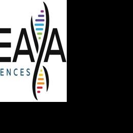 IDEAYA Biosciences Upcoming Investor Relations Events and Updated Darovasertib Topline Results Guidance from Phase 2/3 OptimUM-02 Trial