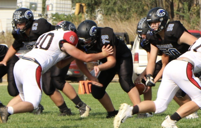 NiobraraVerdigre Earns 12th Seed In Playoffs Sports