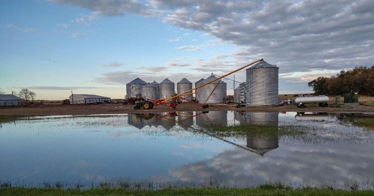 South Dakota Farmers Union Launches 2023 Photo Contest - Vimarsana News