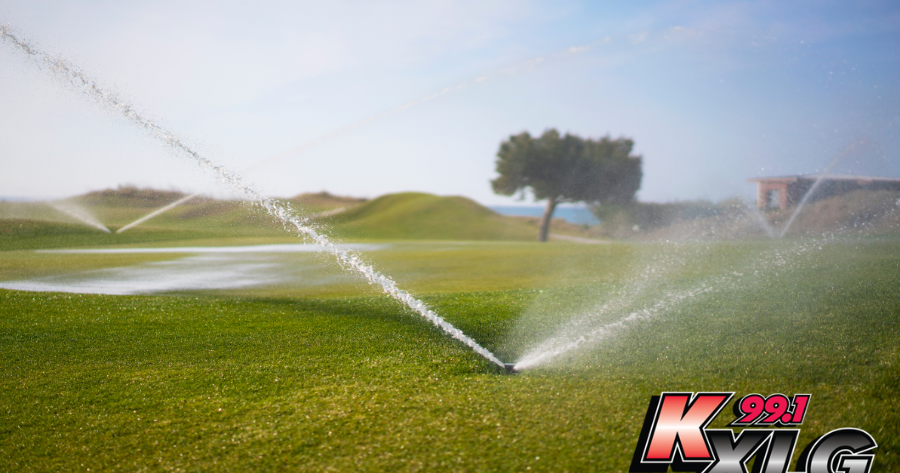 Invasive Zebra Mussels Cause Irrigation Challenges for Watertown Golf Course | Local News