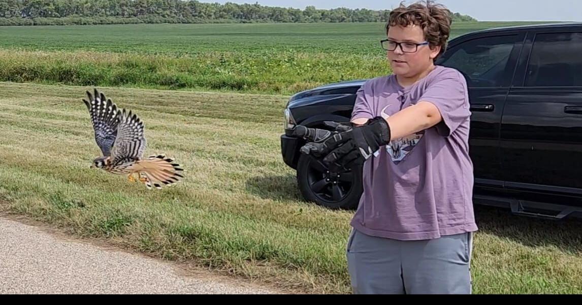 Good News: Zoo releases 11 raptors back into the wild | | mykxlg.com