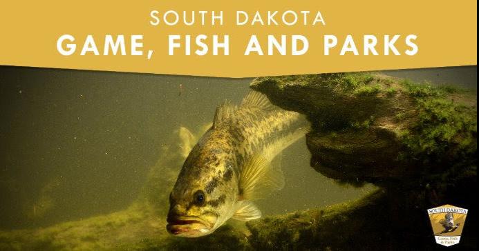 Fish Consumption Advisories for South Dakota - Dry Lake in Clark County ...