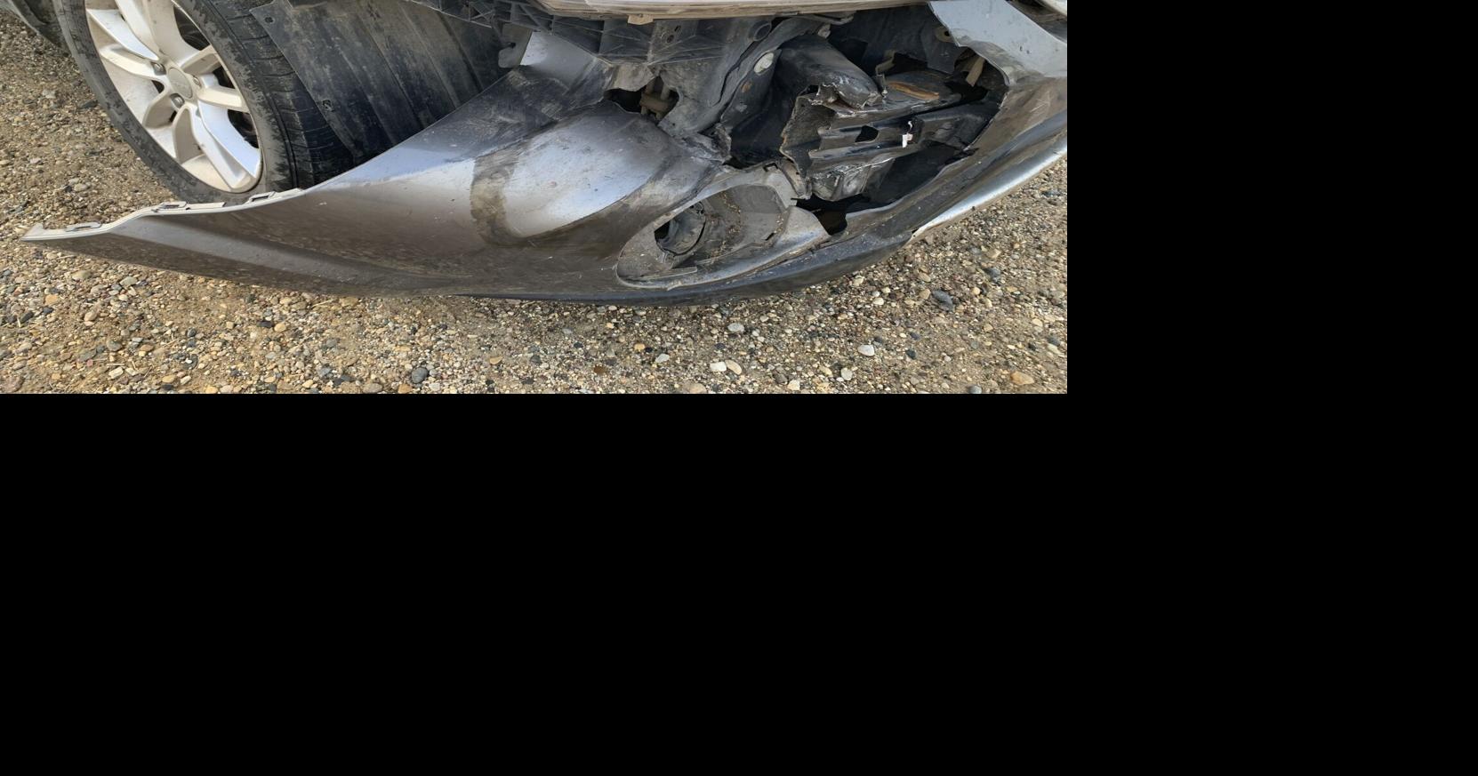 Hamlin Country Sheriff Seeking Public's Help in Hit and Run Local