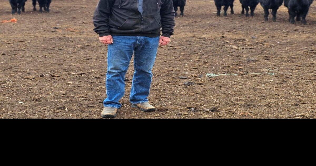 Lake Preston farmer steps down as SDFU vice president | Local News ...