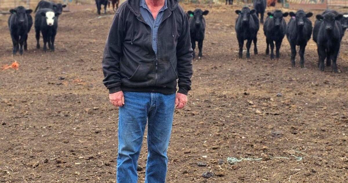 Lake Preston farmer steps down as SDFU vice president | Local News ...