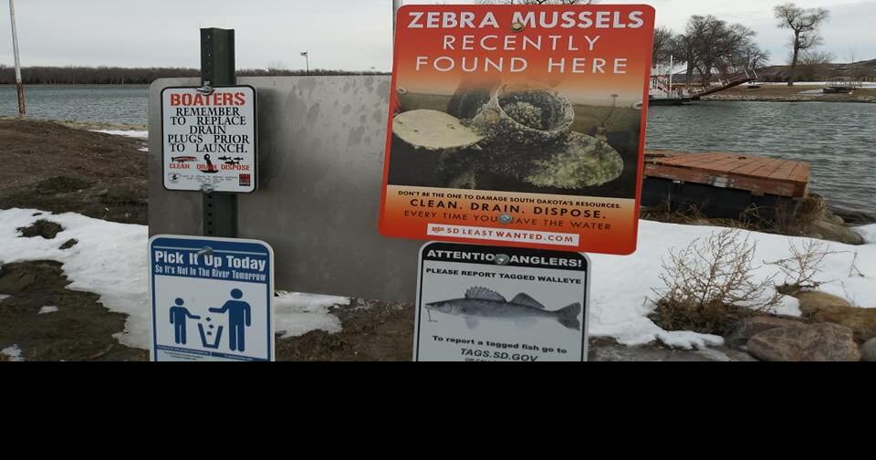 Zebra Mussel Cleaning Stations Bill "Killed" In Committee State News