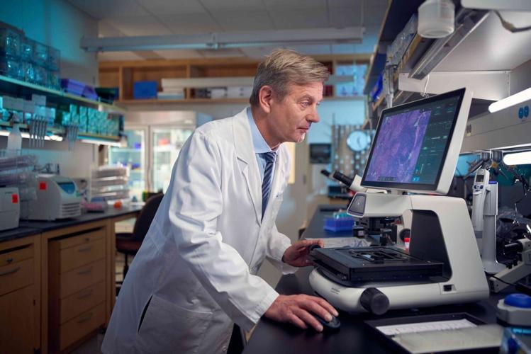 Eating less sugar could protect stomach during antibiotic treatment, shows study