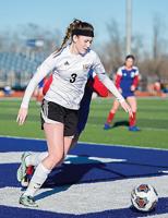 Perryville grabs top honors for coach, player